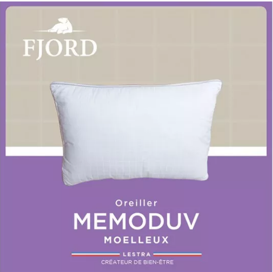 Oreiller MEMODUV Moelleux 65x65cm